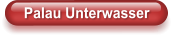 Palau Unterwasser