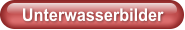 Unterwasserbilder