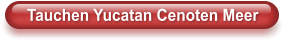 Tauchen Yucatan Cenoten Meer