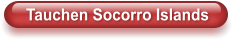 Tauchen Socorro Islands