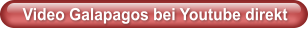 Video Galapagos bei Youtube direkt