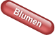 Blumen