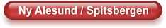 Ny Alesund / Spitsbergen