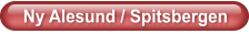 Ny Alesund / Spitsbergen