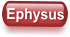 Ephysus